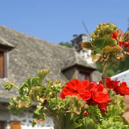 Semesterbostad Maison De Vacances -
